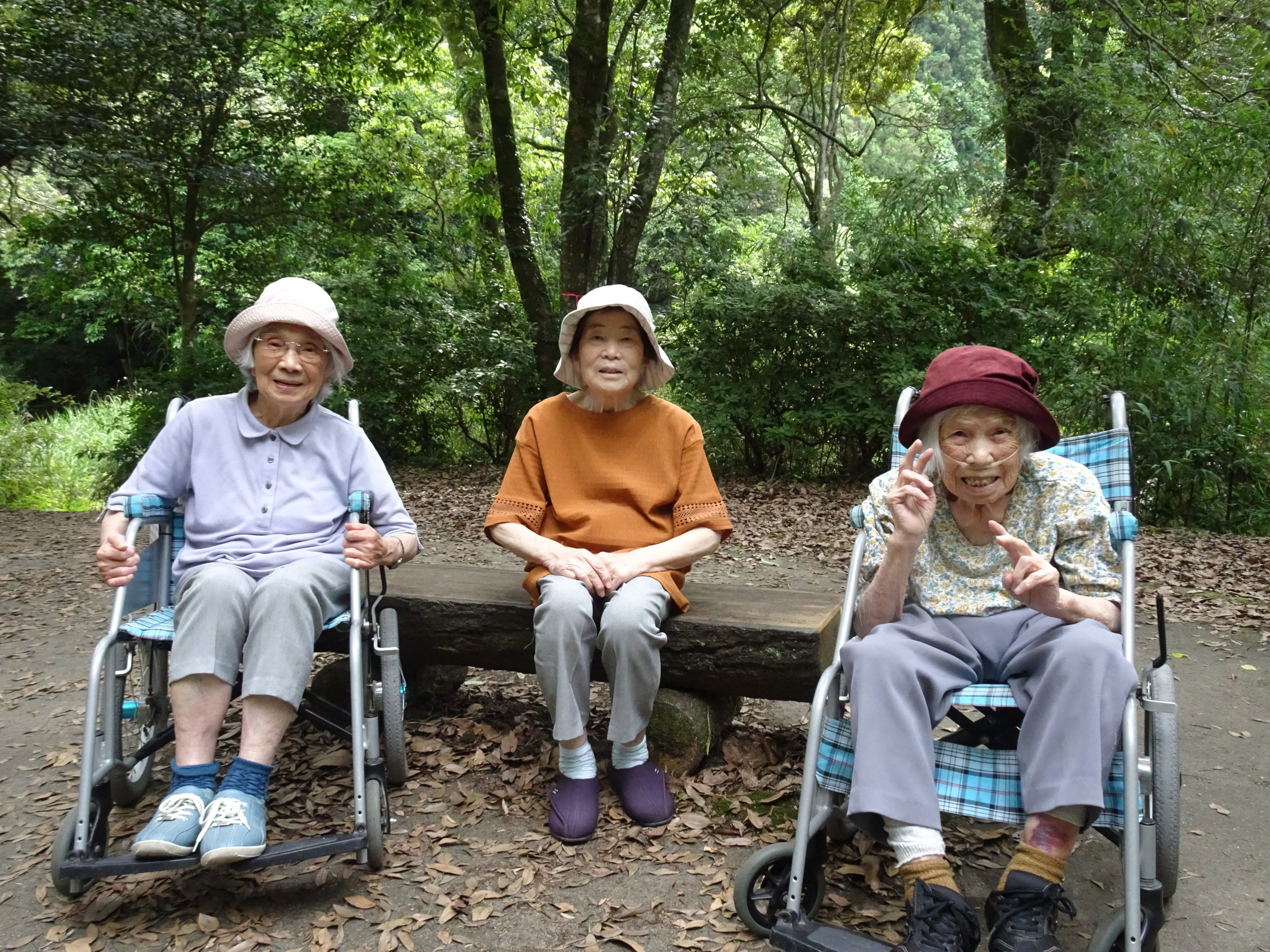 中ノ島公園内の島を散歩中に撮った写真