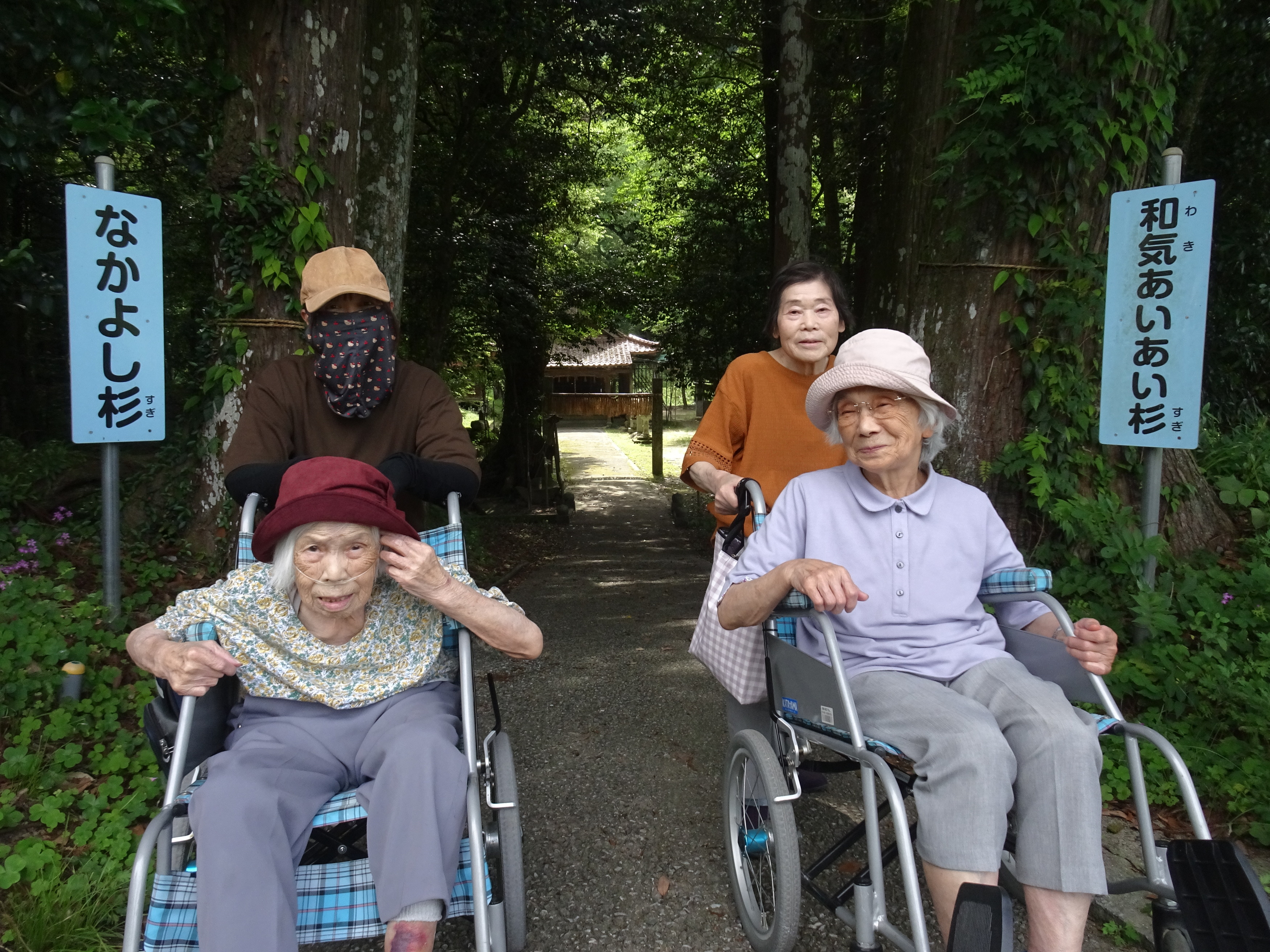 日吉神社入口にある杉の前で撮った写真