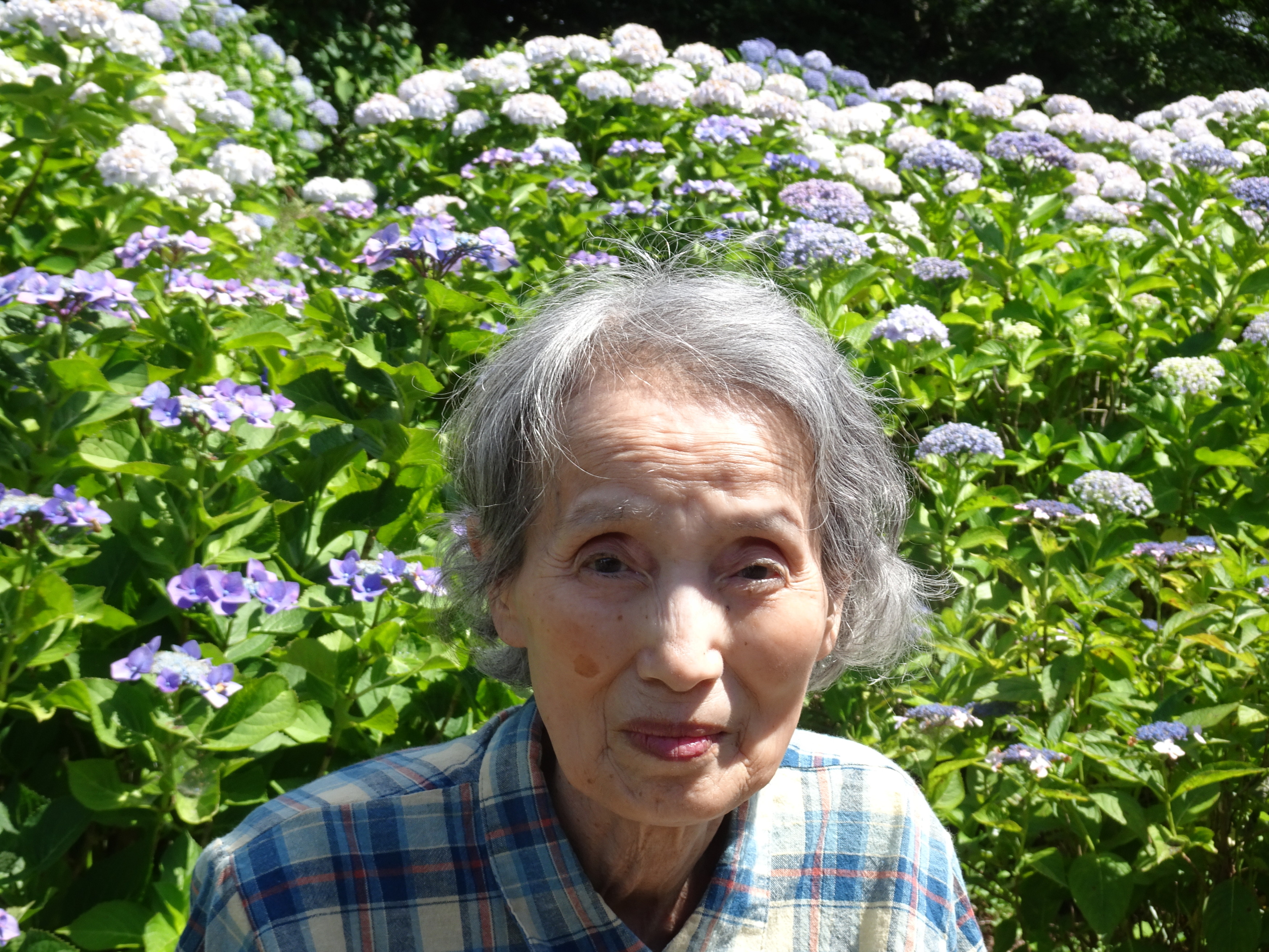 あじさいの前で撮った利用者さんの写真
