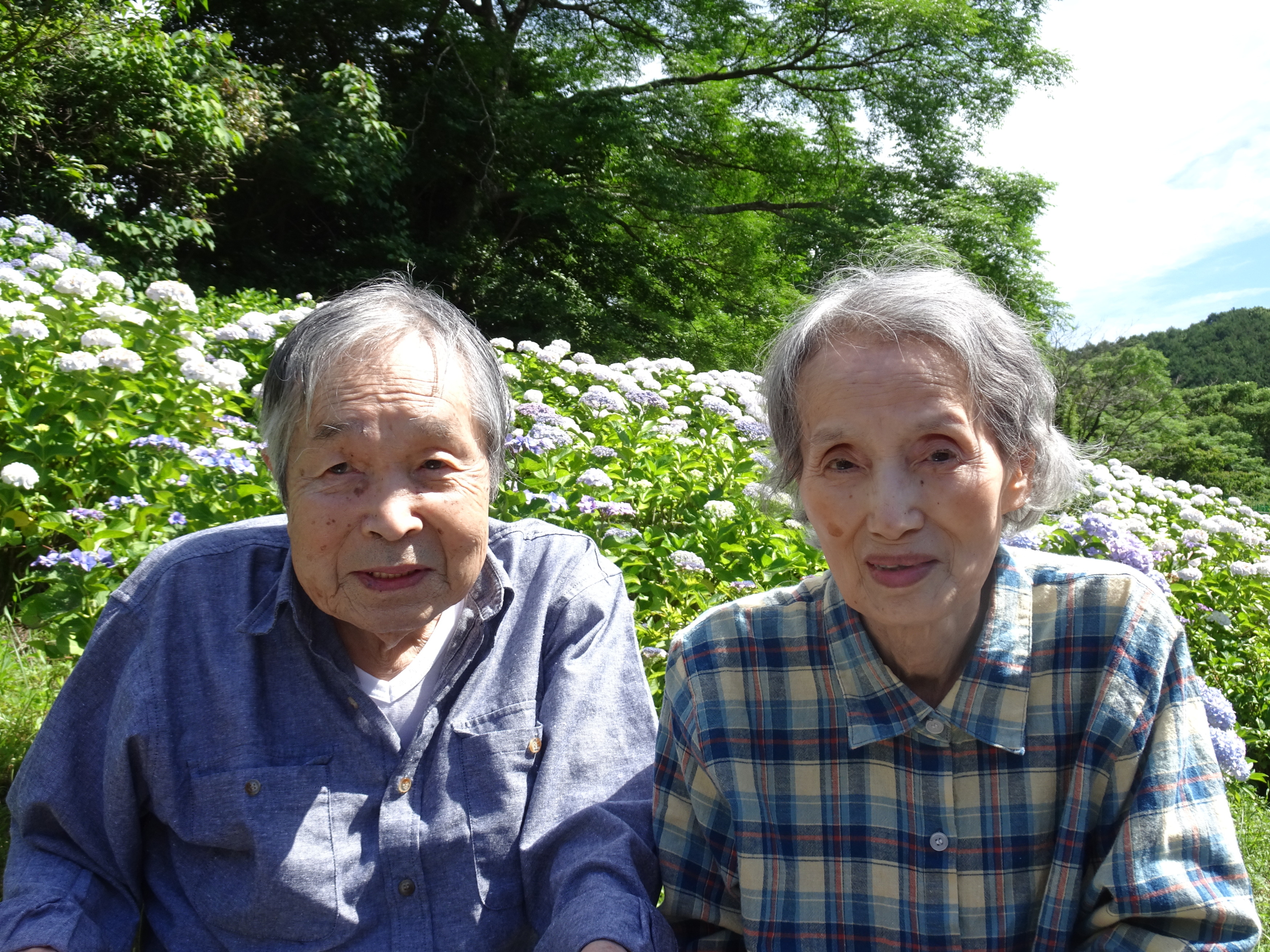 あじさいの前で撮った利用者ご夫婦の写真