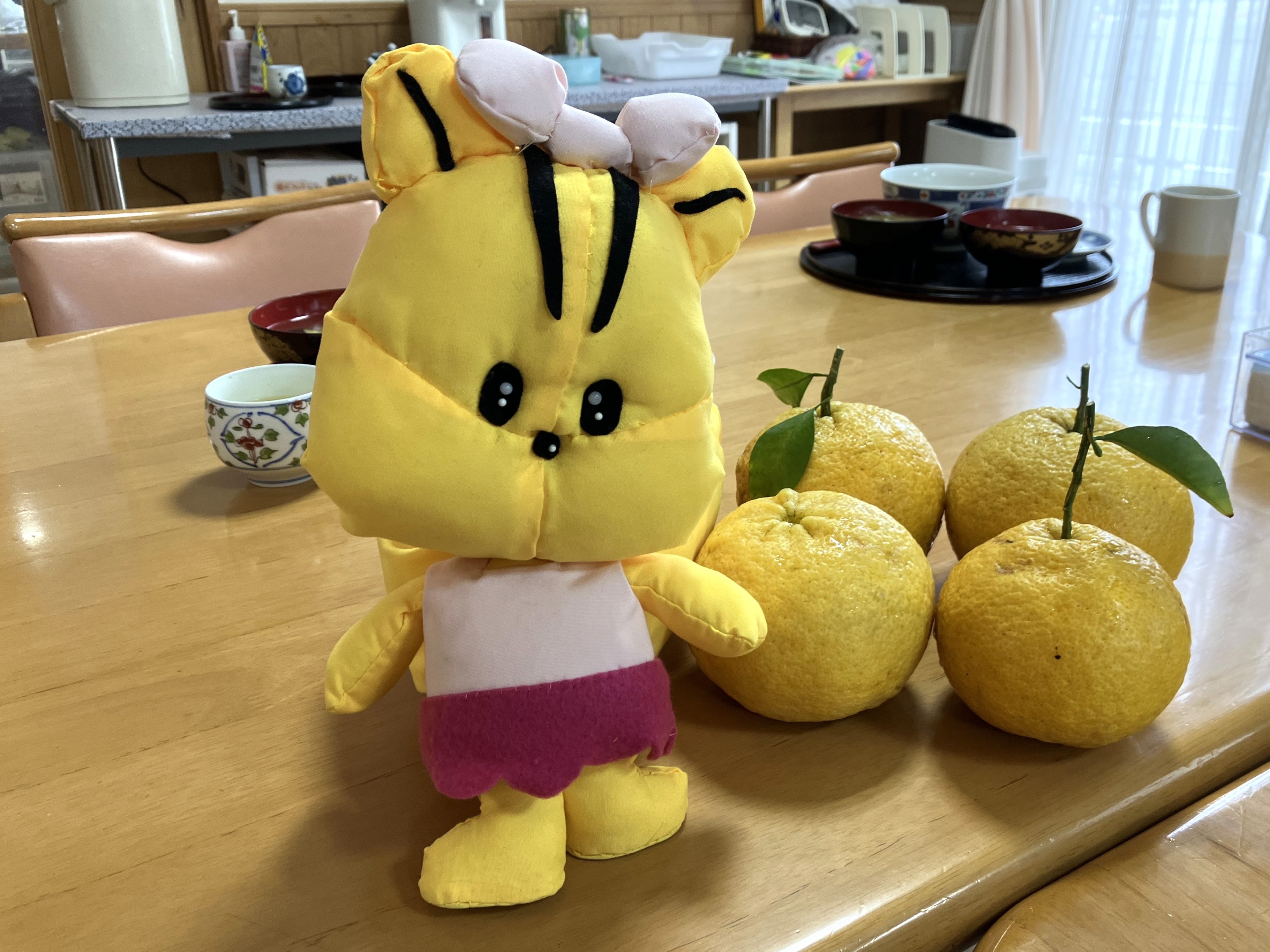 みどりちゃんのぬいぐるみと甘夏
