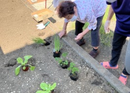 苗を植える利用者様