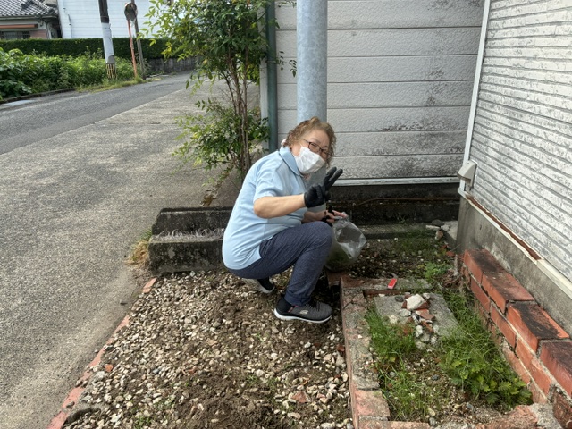 女性が草取りをしている