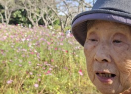 コスモス畑と利用者様